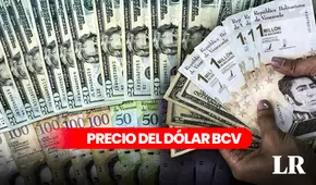 Dólar BCV HOY, lunes 11 de marzo ¿cuál es el precio del dólar en Venezuela?
