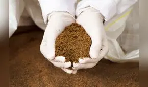 Industriales reiteran pedido para reducir la talla mínima de la anchoveta y salvar harineras