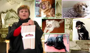 Irma Maury prefirió a sus perros antes que seguir con el elenco de ‘AFHS’, contó Efraín Aguilar