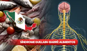 Síndrome de Guillain-Barré en México 2024: ¿cuáles son las posibles causas de esta enfermedad?