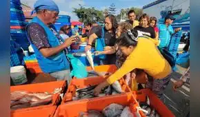 Semana Santa: el kilo de bonito trepó a S/4,50 al ser el pescado más requerido por las familias Semana Santa: el kilo de bonito trepó a S/4,50 al ser el pescado más requerido por las familias