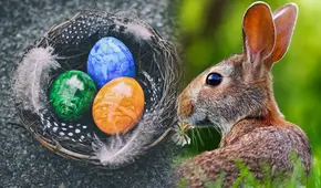 Semana Santa 2024: ¿cómo surgió la historia del conejo de Pascua en Estados Unidos?