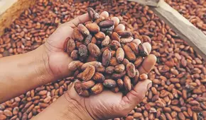 Envíos peruanos a la Argentina impulsados por Gobierno de Milei