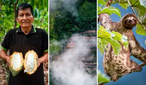 Alto Pelejo, un pequeño paraíso en medio de la deforestación en la Amazonía peruana