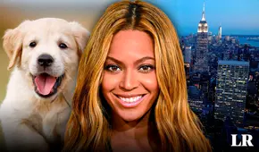 La histórica ciudad de Estados Unidos donde hay más mascotas que niños, y viven Beyoncé y Madonna