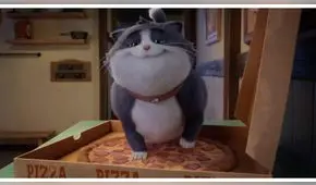 'Un gato con suerte': la sensación de Sundance llega a las pantallas de Perú