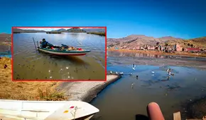 Lago Titicaca: ¿de qué trata y en qué estado se encuentra el proyecto para descontaminar sus aguas?