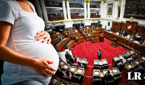 Congreso promulga ley antiderechos que dificulta el acceso al aborto terapéutico