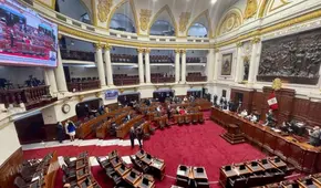 Atentado contra el aborto terapéutico: ¿qué bancadas votaron a favor de esta ley antiderechos?