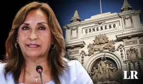 Esta clase política nos está llevando al despeñadero, por Pedro Castro Balmaceda