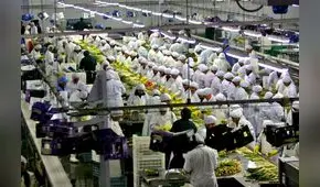 Midagri busca restituir beneficios tributarios a las agroexportadoras