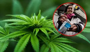 Día Mundial de la Marihuana HOY, 20 de abril: ¿por qué se eligió esa fecha?