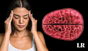 Por primera vez, científicos revelan cambios estructurales en el cerebro de las mujeres durante la menstruación