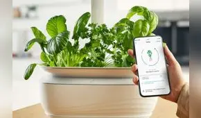 Así puedes tener tu huerto inteligente como el de un masterchef: es más barato y fácil de realizar