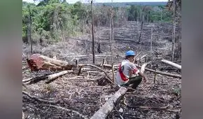 El 90% de las actividades económicas en la Amazonía son ilegales