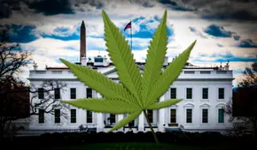 Estados Unidos recalificaría a la marihuana como droga de "bajo riesgo" por primera vez en 50 años