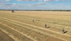 Precios mundiales de alimentos continúan al alza