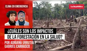 Lo que cuesta perder el bosque: ¿Cuáles son los impactos de la deforestación en la salud?, por Adriana Urrutia y Gabriel Carrasco