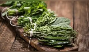 Estas son la hierbas más usadas en Colombia: ayudan al sistema respiratorio y la pérdida de peso