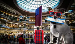 Conoce las nuevas restricciones para llevar un perro a Estados Unidos desde agosto de 2024