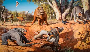 Este terrorífico animal es más antiguo que los dinosaurios y sigue viviendo en Latinoamérica