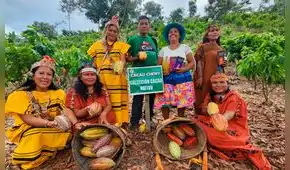 El famoso 'oro negro' de Satipo: comunidad asháninka exporta milenaria fruta al extranjero