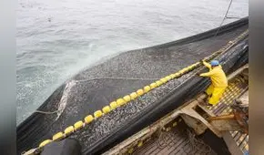 Anchoveta: cuota de pesca para consumo humano directo será de 150.000 toneladas en 2024