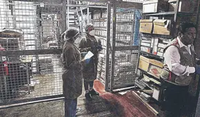 La agonía del Archivo General de la Nación, por Paulo Drinot