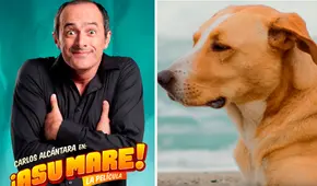 No es ‘Asu mare 1’ ni ‘Vaguito’: está es la película peruana más taquillera de toda la historia