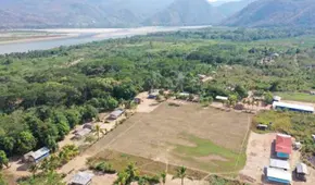 Osherato, por Marisol Pérez Tello