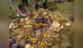 Día Internacional de la Papa: el tubérculo enriquecido con hierro contribuye en la lucha contra la anemia