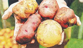 Papa: del tesoro enterrado a una joya milenaria para la humanidad, por Mariana Escobar Arango