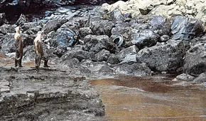 Llamado a la acción en el Día Mundial del Ambiente, por Isabel Calle