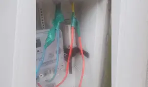 Tomacorriente explota y deja con quemaduras a niño en SMP: madre denuncia a Enel por 'mala conexión'