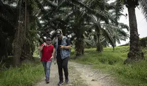 Amenazas de la ruta migratoria en Guatemala: dengue, arrestos y el cambio climático Amenazas de la ruta migratoria en Guatemala: dengue, arrestos y el cambio climático