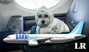 La primera aerolínea para perros y pasajeros ya está disponible en EE. UU.: viajarán en cabinas y no en jaulas