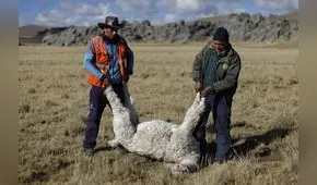 Enfen activa la alerta de vigilancia por La Niña Costera