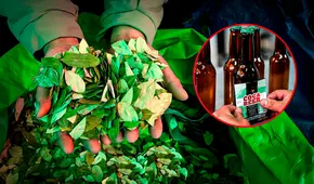 "Coca beer": Bolivia crea una cerveza a base de una planta medicinal y cargada de energía