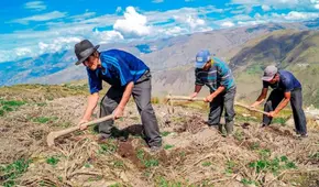Revisa lo último que se muestra sobre si es feriado el 24 de junio por el Día del Campesino