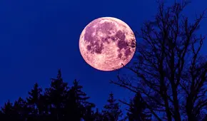 ¿Por qué la luna de fresa recibe ese nombre?: así podrás ver este fascinante evento astronómico