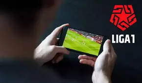 Indecopi ordena el bloqueo de 23 páginas web pirata que transmitían la Liga 1 sin autorización: ¿cuáles son?