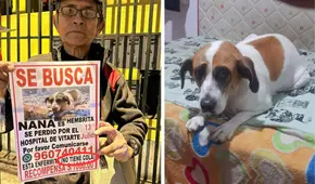 Desde hace 1 año, adulto mayor recorre todas las noches el distrito de ATE buscando a su perrita: conoce su historia
