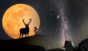 Luna de ciervo, 2 lluvias de estrellas y alineación planetaria: los deslumbrantes eventos astronómicos de julio