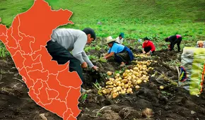 Perú será potencia mundial en este rubro: habrá una inversión de 940 millones de dólares