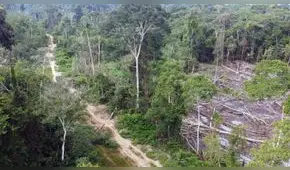 Caminos ocultos en el caso de la propuesta vial Bellavista-Mazán-Salvador-El Estrecho