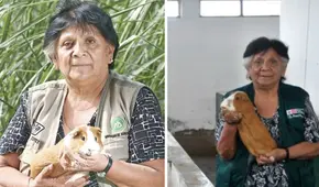 La ingeniera de la UNALM que lideró la creación de 4 razas de cuyes en el Perú: "Fui la única mujer de mi promoción"