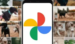 ¿Nueva red social a la vista? Google Fotos incluirá 'Stories' que los usuarios podrán comentar