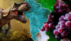 Las uvas aparecieron en 2 países de Sudamérica gracias a la extinción de los dinosaurios, según estudio Las uvas aparecieron en 2 países de Sudamérica gracias a la extinción de los dinosaurios, según estudio