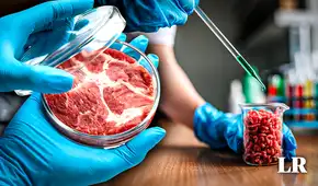 El 'boom' de la carne artificial: ¿cómo la manipulación genética nos ofrecerá alimentarnos con sintéticos? El 'boom' de la carne artificial: ¿cómo la manipulación genética nos ofrecerá alimentarnos con sintéticos?