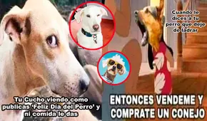 Día Mundial del Perro 2024: Disfruta los memes más hilarantes para celebrar a nuestro mejor amigo de 4 patas